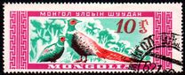 [Mongolian Wildlife, tip EA]