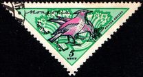 [Birds, type FG]