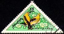 [Birds, type FI]