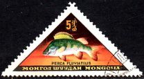 [Fish, տեսակ JK]