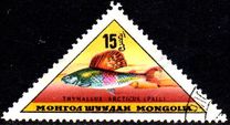 [Fish, տեսակ JM]