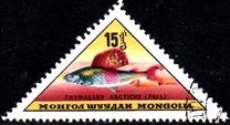 [Fish, տեսակ JM]