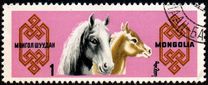 [Mongolian Horses, type ML]