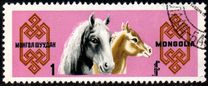 [Mongolian Horses, type ML]