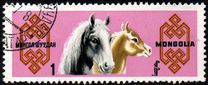[Mongolian Horses, type ML]