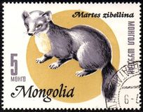 [Mongolian Fur Industry, 유형 NC]