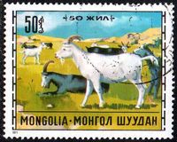 [Livestock Breeding, type WT]