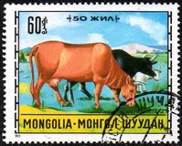 [Livestock Breeding, type WU]