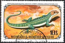 [Reptiles, type YQ]