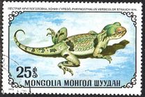 [Reptiles, type YT]
