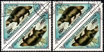 [Small Fur Animals, වර්ගය ACC]