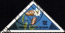 [Mongolian Flowers, වර්ගය ACP]
