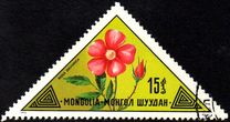 [Mongolian Flowers, වර්ගය ACQ]