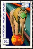 [Mongolian Circus, type ADY]