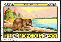 [Games Reserves - Fauna, τύπος AFB]