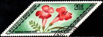 [Rare Medicinal Plants, type AGF]