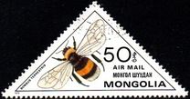 [Inscects - Bees and Wasps, Typ ZUE]