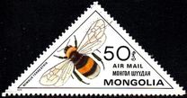 [Inscects - Bees and Wasps, Typ ZUE]