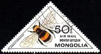 [Inscects - Bees and Wasps, Typ ZUE]