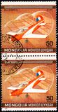 [Airmail - World Acrobatic Championship, Oshkosh, Wisconsin, тып ZUU]