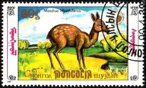 [Siberian Musk Deer, 유형 BWE]