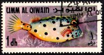 [Fish of the Arabian Gulf, type FO]