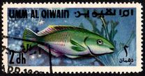[Fish of the Arabian Gulf, type FP]
