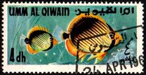 [Fish of the Arabian Gulf, type FR]