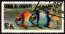 [Fish of the Arabian Gulf, type FT]