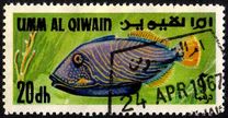 [Fish of the Arabian Gulf, type FV]