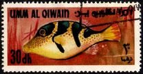 [Fish of the Arabian Gulf, type FW]