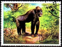[Wild Animals, Tüüp RL]