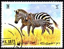 [Wild Animals, Tüüp RM]