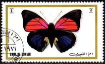 [Butterflies, type WZ]