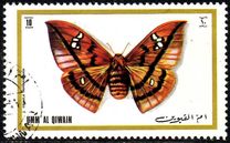 [Butterflies, type XA]