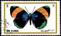 [Butterflies, type XB]