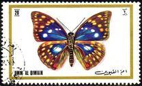 [Butterflies, type XC]