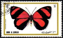 [Butterflies, type XD]