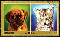 [Dogs and Cats, տեսակ YR]