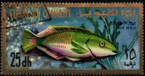 [Airmail - Fish of the Arabian Gulf, Tipi GH]