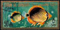 [Airmail - Fish of the Arabian Gulf, Tipi GJ]