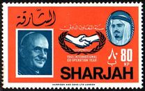 [International Co-operation Year, típus EX]