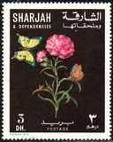 [Flowers and Butterflies, type KN]