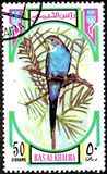 [Birds, type UC]