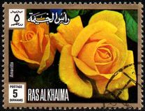[Rose Varieties, type ADX]
