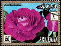 [Rose Varieties, type ADY]