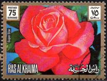 [Rose Varieties, type ADZ]
