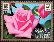 [Rose Varieties, type AEA]