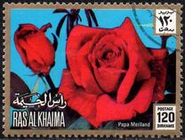 [Rose Varieties, type AEB]