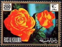 [Rose Varieties, type AEC]